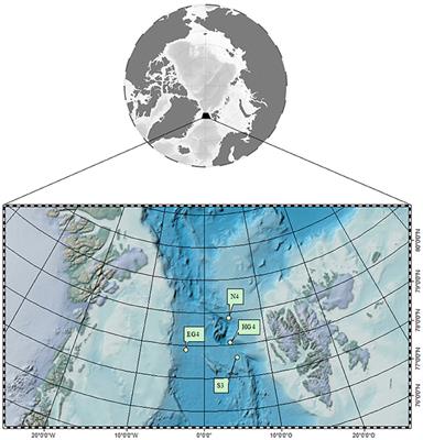 Bacterial Colonization and Vertical Distribution of Marine Gel Particles (TEP and CSP) in the Arctic Fram Strait